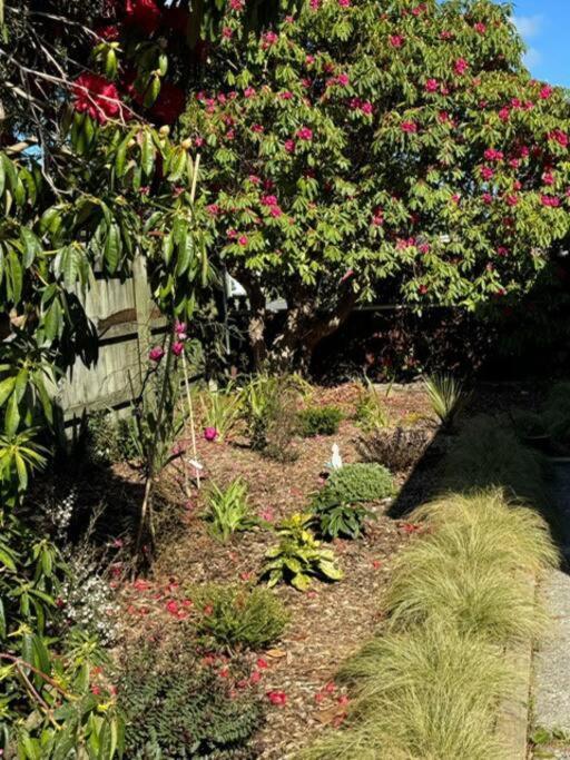 St James Lower Hutt Esterno foto